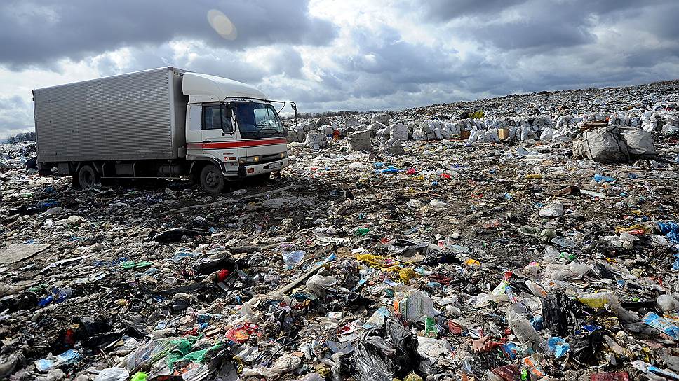 Какая ситуация с мусором в Новосибирской области