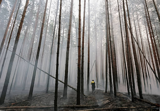 Природные пожары в России
