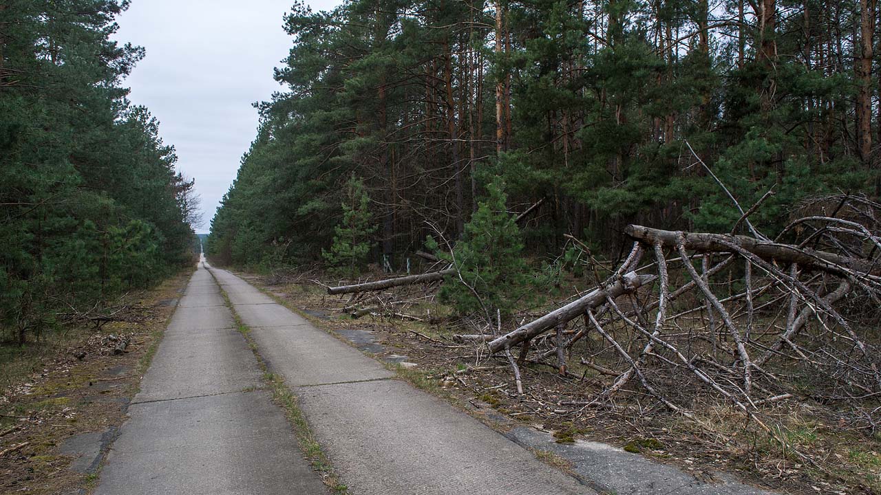 Три лесоруба с кавказа нашли радиоактивную батарею фото