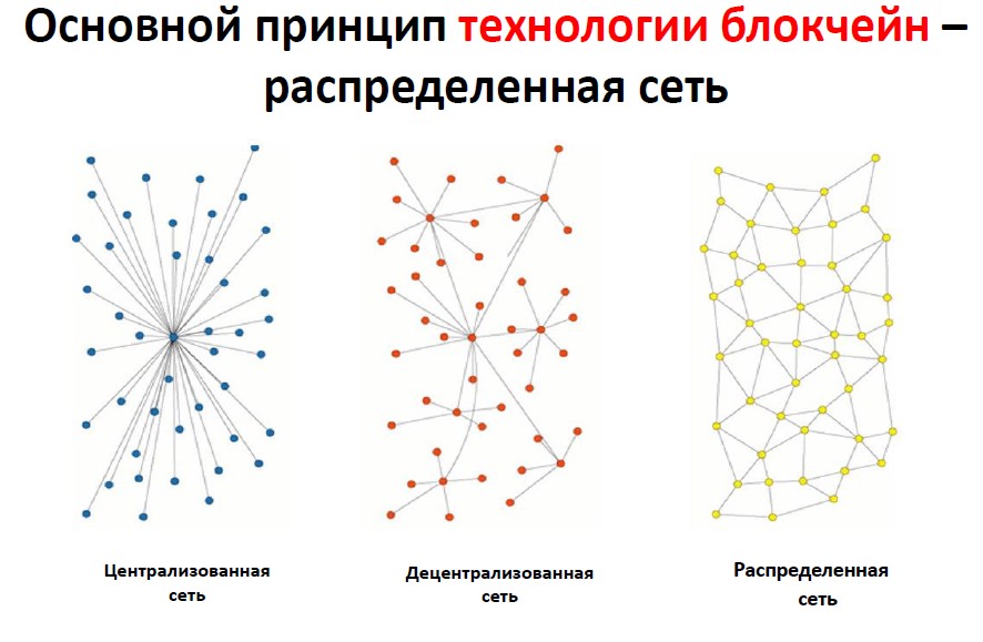 Участники сети