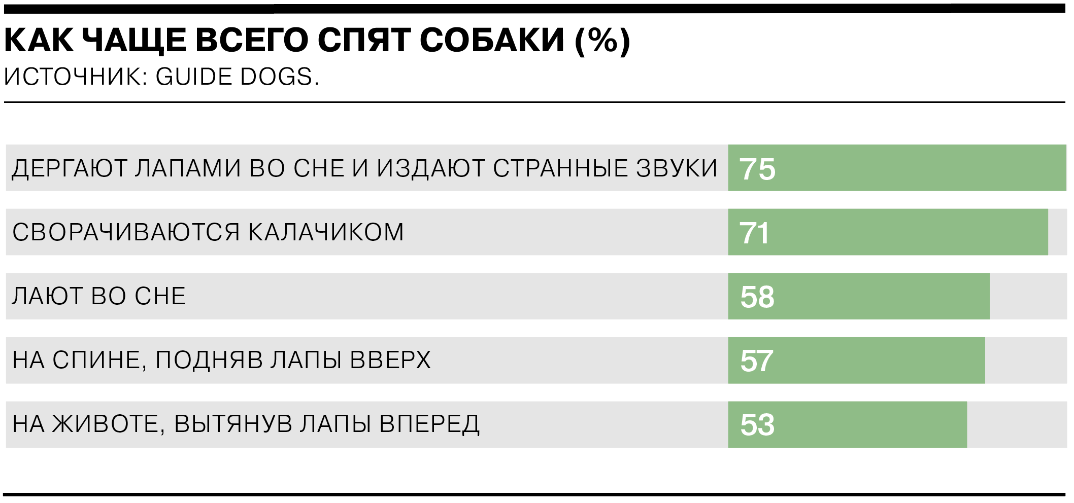 Сонник. СОБАКА – все толкования