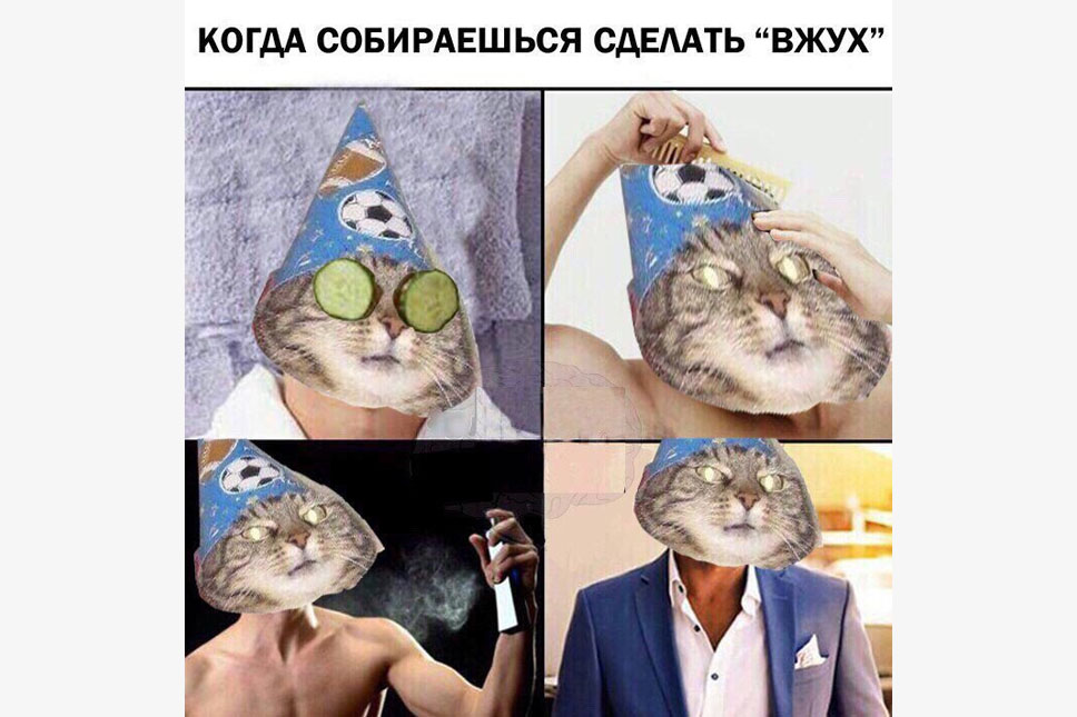 Поставь собираться. Кот вжух. Коты мемы. Вжух Мем. Мемы вжух с котом.