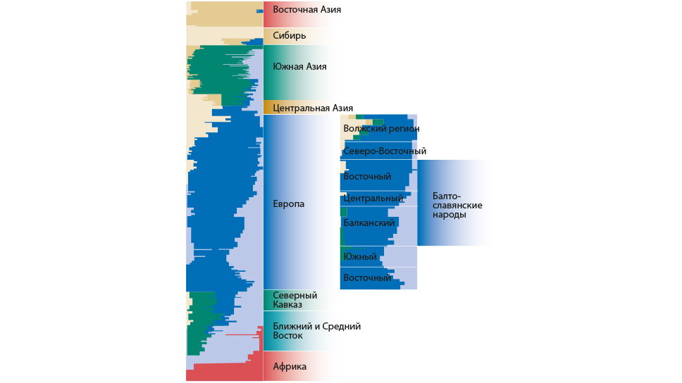 Число заданных предковых популяций k=6.  На нижней панели в увеличенном масштабе показаны спектры предковых компонентов для популяций Европы.
