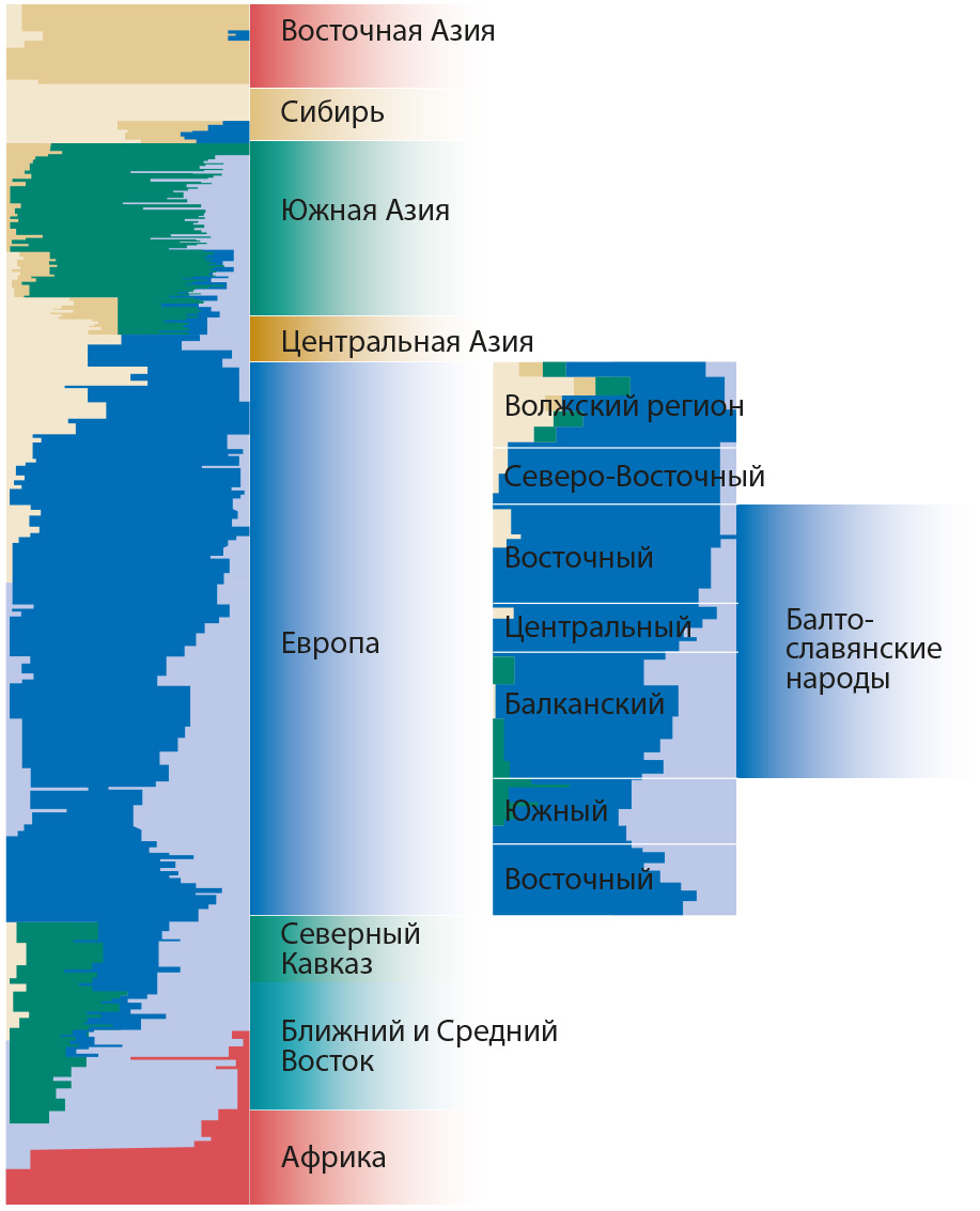 Число заданных предковых популяций k=6.  На нижней панели в увеличенном масштабе показаны спектры предковых компонентов для популяций Европы.