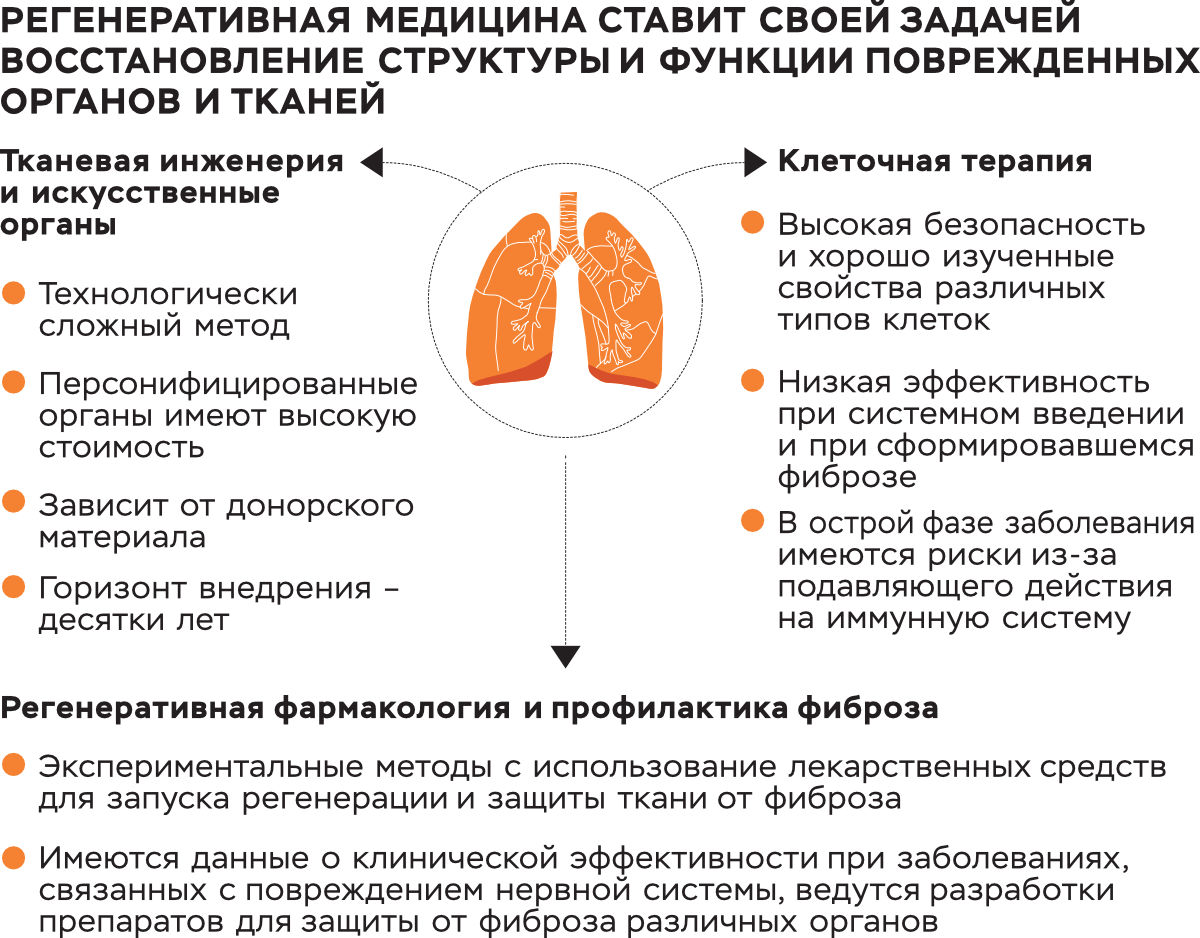 Как восстановить легкие после коронавируса | Публикации – клиника «Семейный доктор»