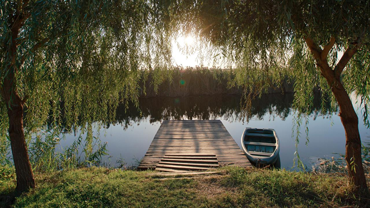 Рыбалка в Краснодаре на реке Кубань: места, снасти, ловля