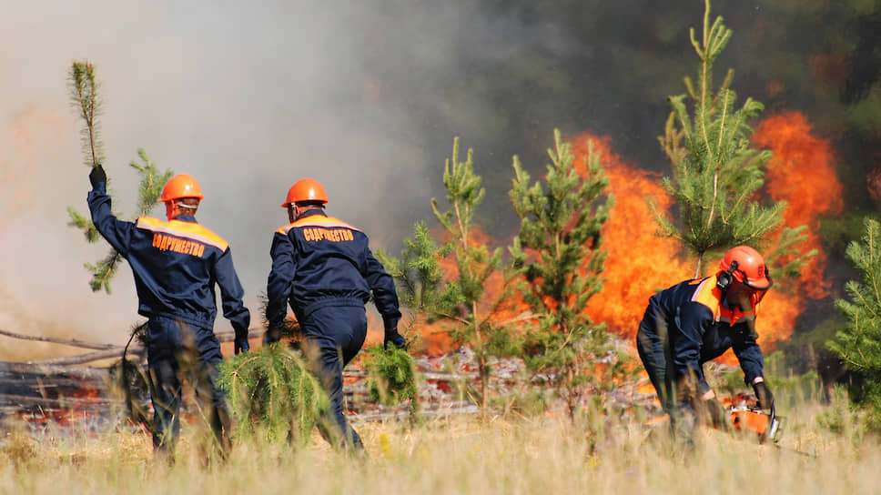 Потушить более 
1 млн га лесных пожаров невозможно, нужно ждать, когда это сделают проливные дожди