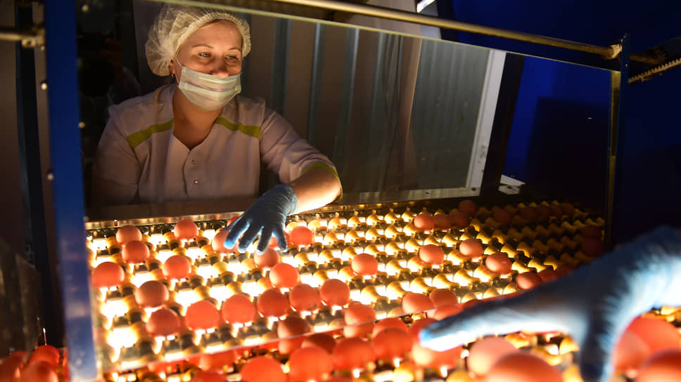 За 2021 год в хозяйствах Красноярского края произведено 848,4 млн яиц