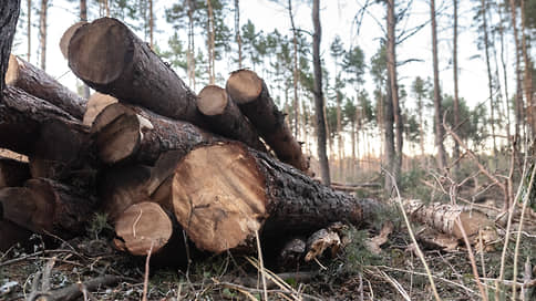 Горсовет принял топорную работу // Собственник бывшего санатория «Енисей» увеличит компенсацию за вырубку деревьев