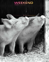 №11 от 09.04.2021