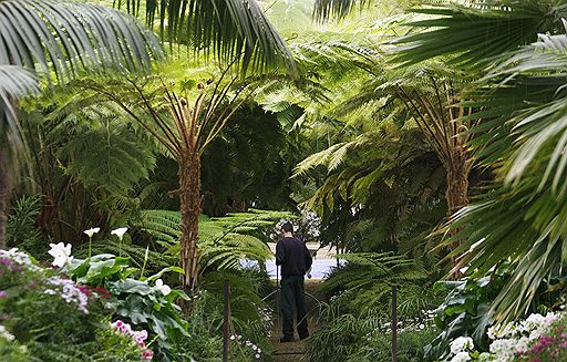 С 17 апреля по 10 мая 2009 в Брюсселе королевские оранжереи открывают свои двери для публики. Раз в год посетители могут увидеть редкие растения, цветущие апельсиновые и банановые деревья и стайки тропических птиц