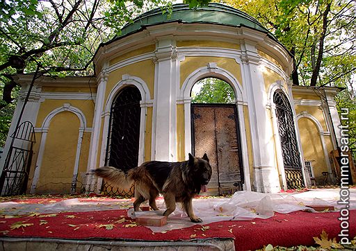 Нескучный сад в москве что где когда