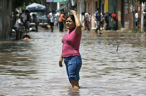 30.09.2010 В результате наводнений в Мексике погибли 6 человек. Спасатели эвакуировали жителей из пострадавших регионов. Повреждены дома, разрушены мосты, оборваны линии электропередачи