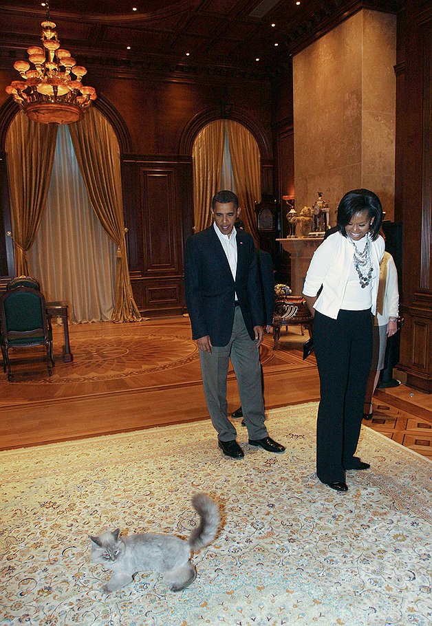 Кот Дорофей Дмитрия Медведева и Барак Обама с супругой