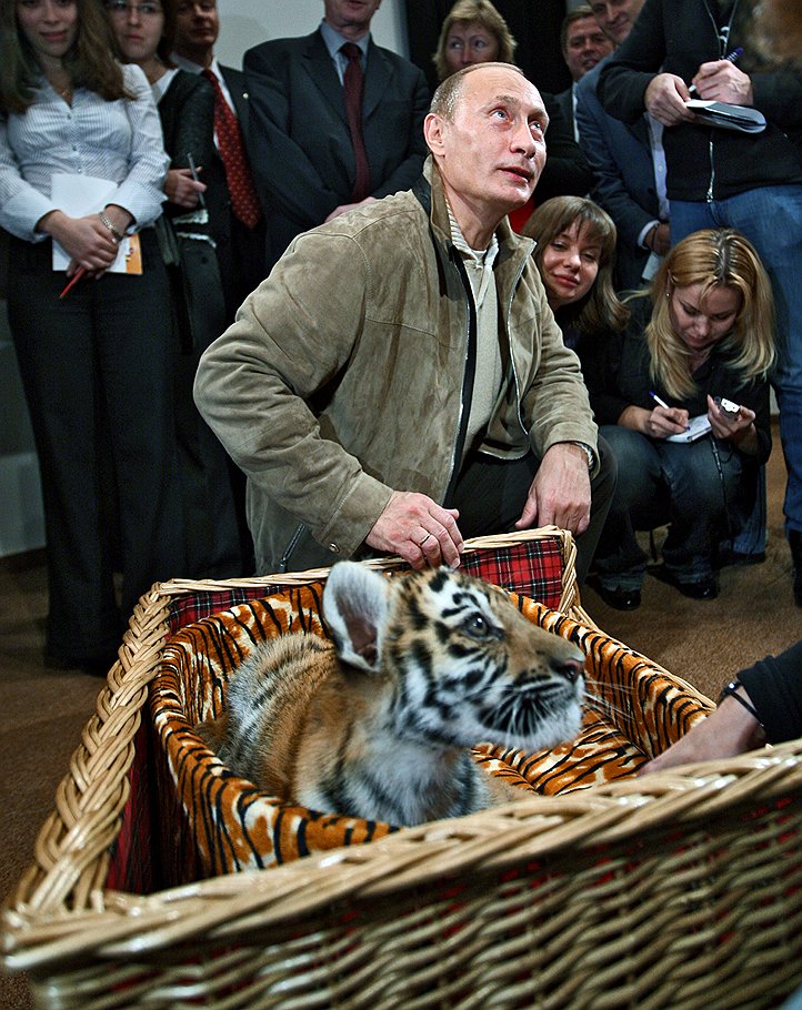 Владимир Путин и уссурийская тигрица