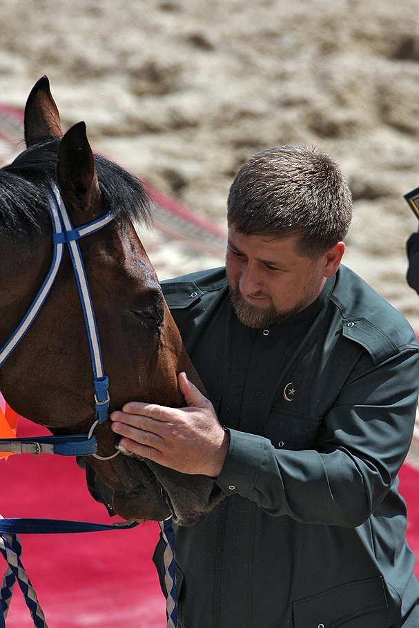 Лошадь президента Чеченской Республики Рамзана Кадырова Индиан Джэмесон