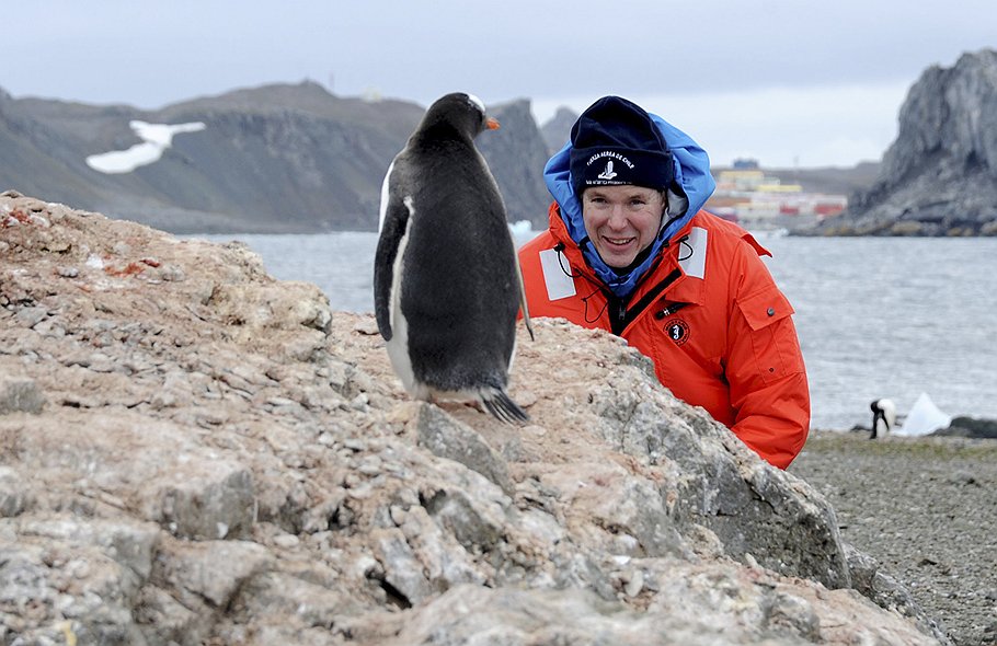 Князь Монако Альбер II наблюдает за пингвинами на острове Ардли у побережья Антарктиды