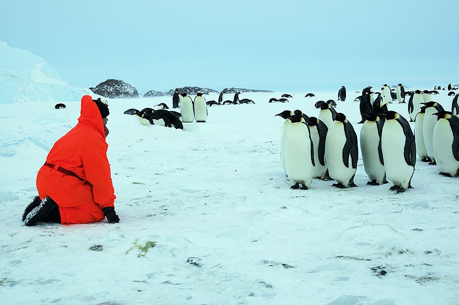 Участник 50-й Российской Антарктической экспедиции в районе станции &quot;Мирный&quot; на мысе Дэвиса