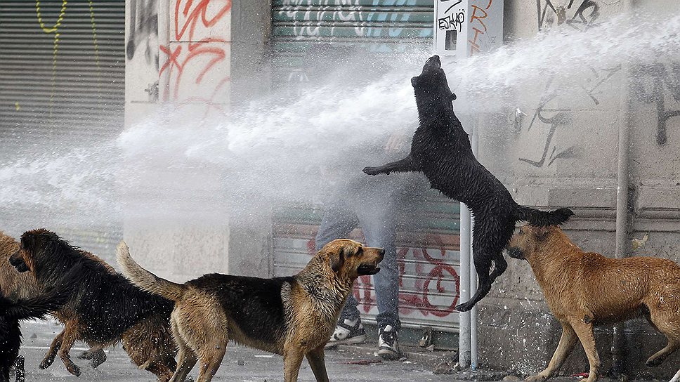 Струи водометов, призванные усмирить уличные беспорядки в Чили, не смогли остановить никого из участников протеста. 