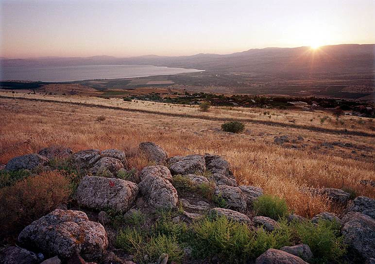 Площадь лесов в Израиле ежегодно увеличивается. С 1901 года в стране посажено около 240 млн деревьев, которые занимают 160 тыс. га. Израиль также занимает первое место по вторичному использованию воды — ее доля составляет 60–70%