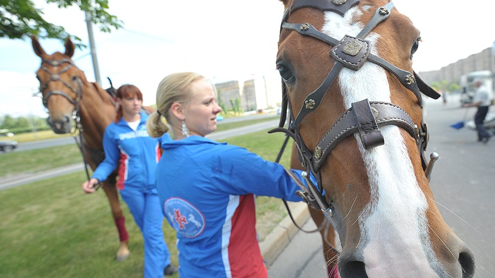 Специально обученные и подготовленные лошади, принимающие участие в шоу, принадлежат к двум породам: донской и буденовской