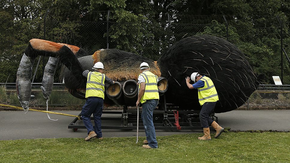 1 июля. Рабочие везут модель гигантского паука Тарантула в зоопарке на севере Англии. Паук станет частью выставки, на которой будут представлены 13 роботизированных копий насекомых, в том числе, скорпионов и божьих коровок 