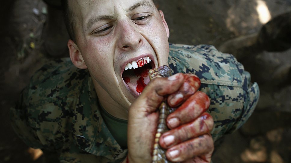 Морской пехотинец пьет кровь кобры во время прохождения курса выживания в джунглях. Это упражнение было частью совместных учений военно-морских сил США и Таиланда на военной базе в тайской провинции Чонбури