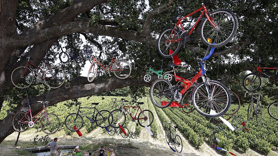 Зрители ожидают участников самой известной и престижной велогонки мира Tour de France под деревом, увешанным велосипедами