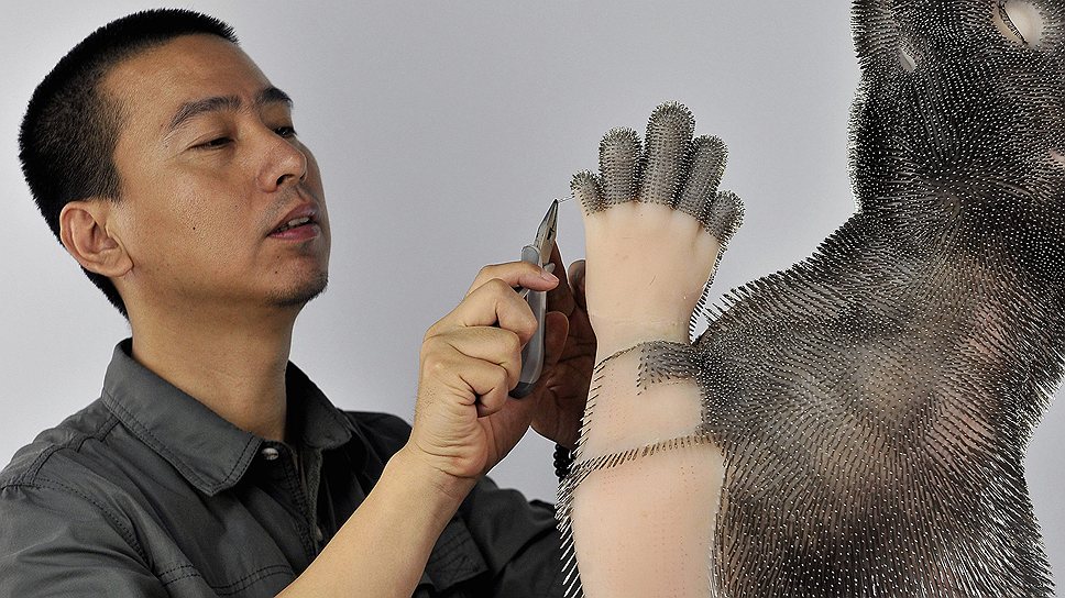 Профессор Кси Йонг работает над инсталляцией фигуры бобра, выполненной из пластика и порядка 300 тыс. игл. По задумке автора, иглы символизируют боль, которую испытывают животные, когда с них сдирают мех для изготовления одежды