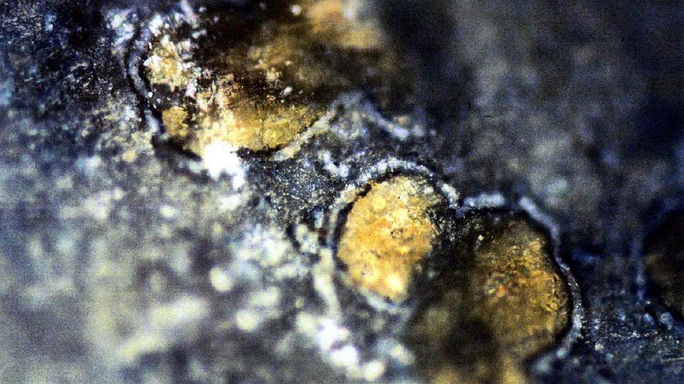 1996 год. NASA объявило, что на метеорите ALH 84001, отколовшемся от Марса и упавшем на Землю, найдены остатки микроорганизмов, существовавших примерно 3 млрд лет назад