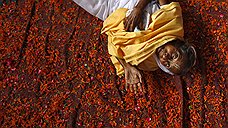 Праздник явления Шри Кришны в Индии