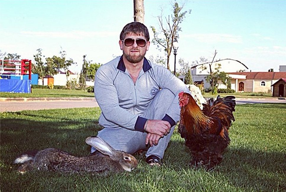 @kadyrov_95/Instagram — президент Чечни Рамзан Кадыров провел лето на свежем воздухе