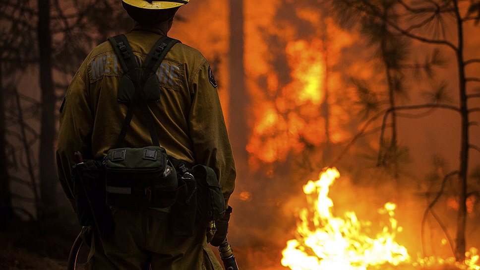 С середины августа в Калифорнии бушуют сильнейшие лесные пожары. Более 110 жилых домов и хозяйственных построек уничтожены, площадь возгорания превышает 90 тыс. га. По данным полиции, пострадали пять человек, о жертвах не сообщается