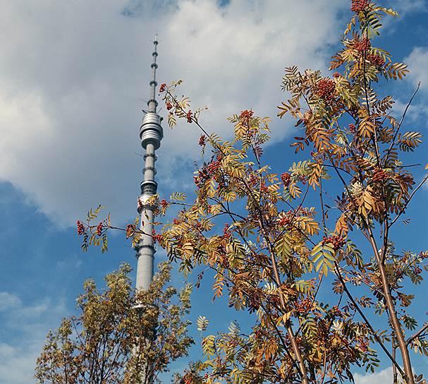 1960 год. Заложены первые железобетонные блоки в основание Останкинской телебашни — самой высокой башни в Европе