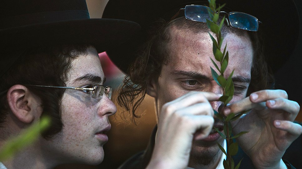 В Израиле всего 10% населения составляют ортодоксальные евреи