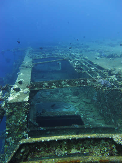 1991 год. В результате столкновения египетского пассажирского парома Salem Express с коралловым рифом в Красном море погибли 460 пассажиров и членов экипажа