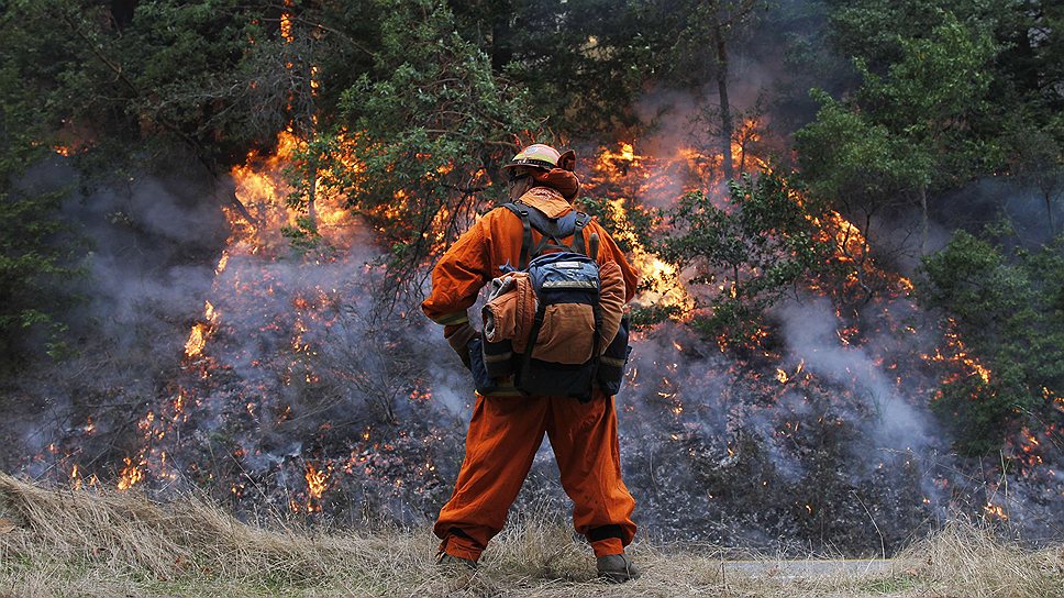 Пожарный тушит лесной пожар в окрестностях курорта Биг-Сюр, в Калифорнии