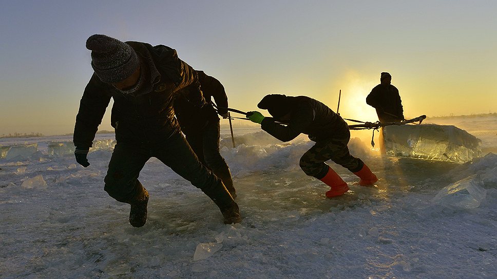 Рабочие вытаскивают из реки глыбу льда весом 250 кг для предстоящего фестиваля Льда и Снега в Харбине