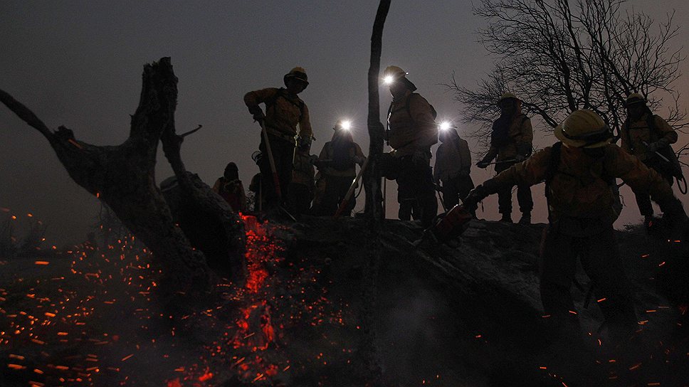 Сотрудники Национальной лесной корпорации Чили осматривают сгоревшие участки во время лесных пожаров. По сообщениям местных властей, в центральной и южной части Чили выгорели около 17 тыс. гектаров леса