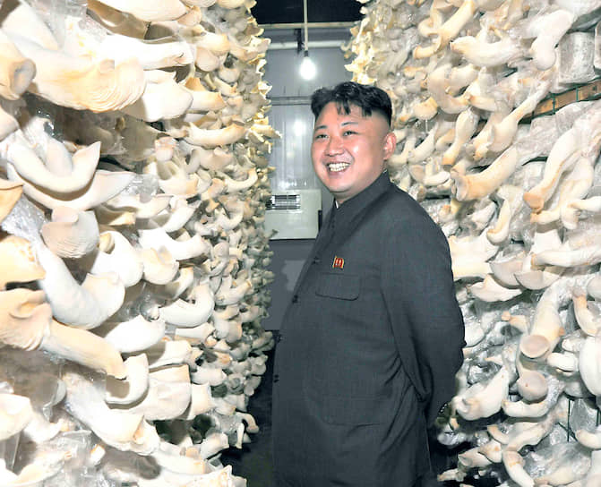 В 2003 году в Токио была издана книга «Я был поваром Ким Чен Ира», автором которой значился некий Кендзи Фудзимото. Именно из этой книги мир узнал о том, что Ким Чен Ын — младший и любимый сын тогдашнего северокорейского диктатора, «как две капли воды похожий на отца»