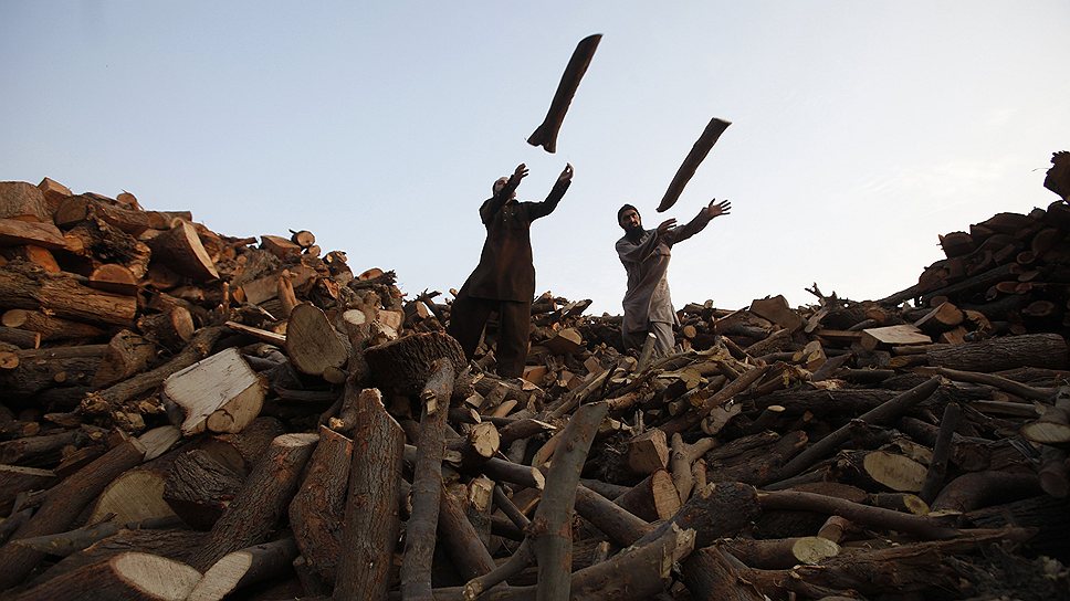 Пакистанские рабочие на складе леса в Лахоре