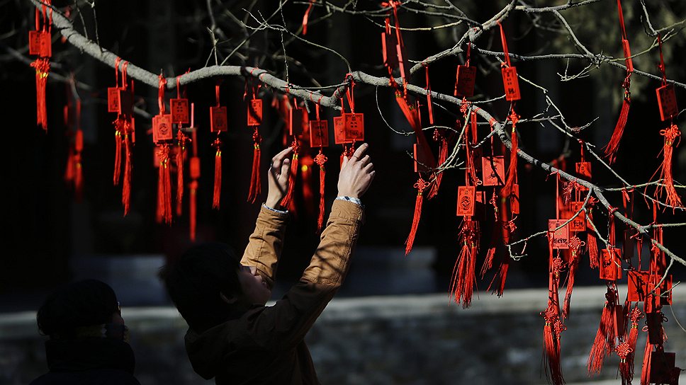 Житель Пекина вешает коробочку с пожеланиями на дерево во время пятого дня китайского нового года