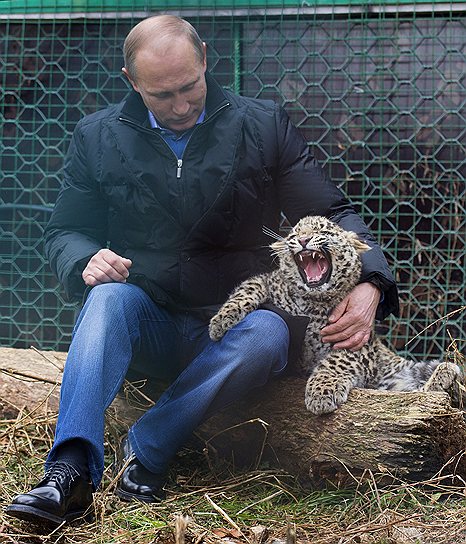 Владимир Путин во время посещения Центра разведения и реабилитации переднеазиатского леопарда в Сочи