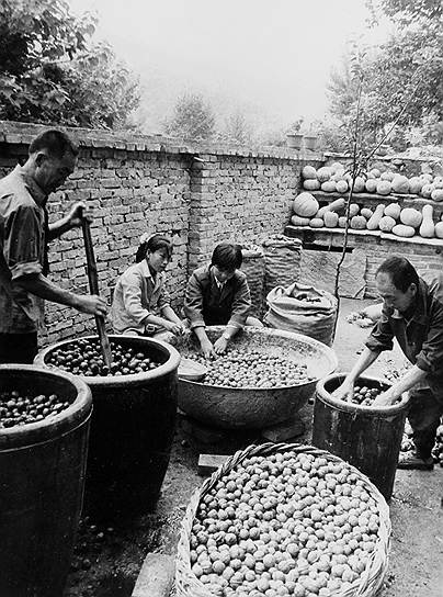 Чтобы укрепить свой авторитет в августе 1958 года Мао Цзэдун объявил, что зерновая проблема в Китае решена, при этом он использовал недостоверные данные о производстве зерновых культур. Было предложено заняться производством металла и удвоить его по сравнению с 1957 годом. Кроме того, решено было создать народные коммуны, сочетающие в себе промышленность, сельское хозяйство, просвещение и военное дело. 