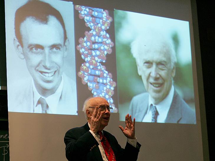 1953 год. Джеймс Уотсон и Френсис Крик предложили структурную модель ДНК — двойную спираль