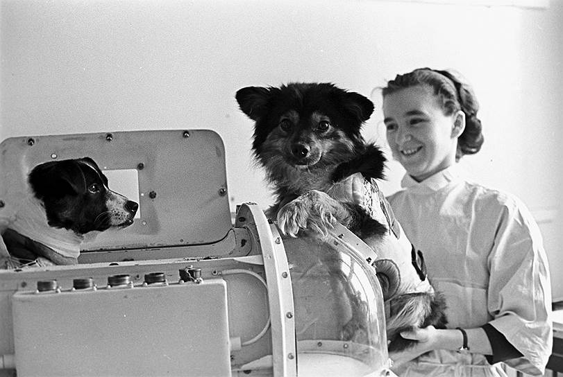 1966 год. Запущен спутник «Космос-110» с собаками Ветерком и Угольком на борту
