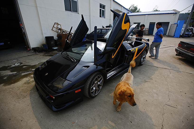Ван Юй и Ли Линьтао сконстурировали две копии Lamborghini Diablo. Машины способоны развивать скорость до 310 км/ч. На сборку энтузиасты потратили шесть лет и около $800 тыс.