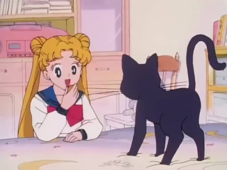 1992 год. В Японии состоялся премьерный показ аниме-сериала «Сейлор Мун».