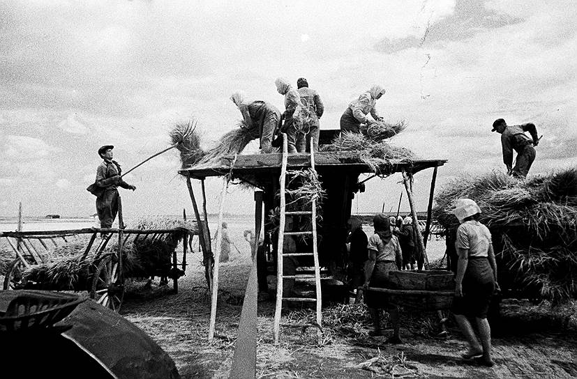 1937 год. В СССР принят закон, запрещающий крестьянам покидать колхозы без разрешения
