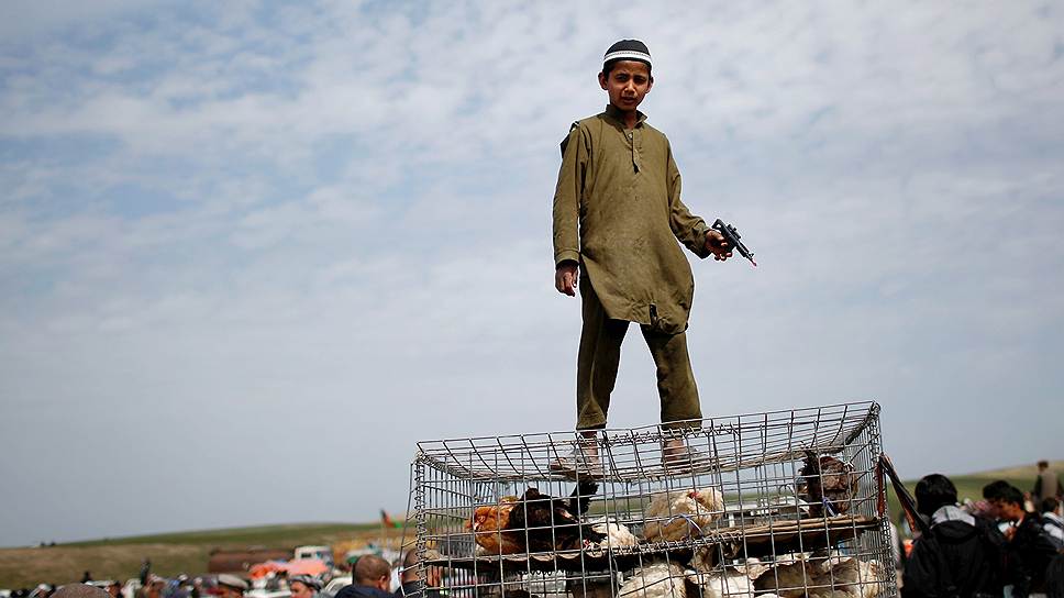 Мальчик с игрушечным пистолетом на клетке с курицами на базаре в провинции Афганистана Кундуз